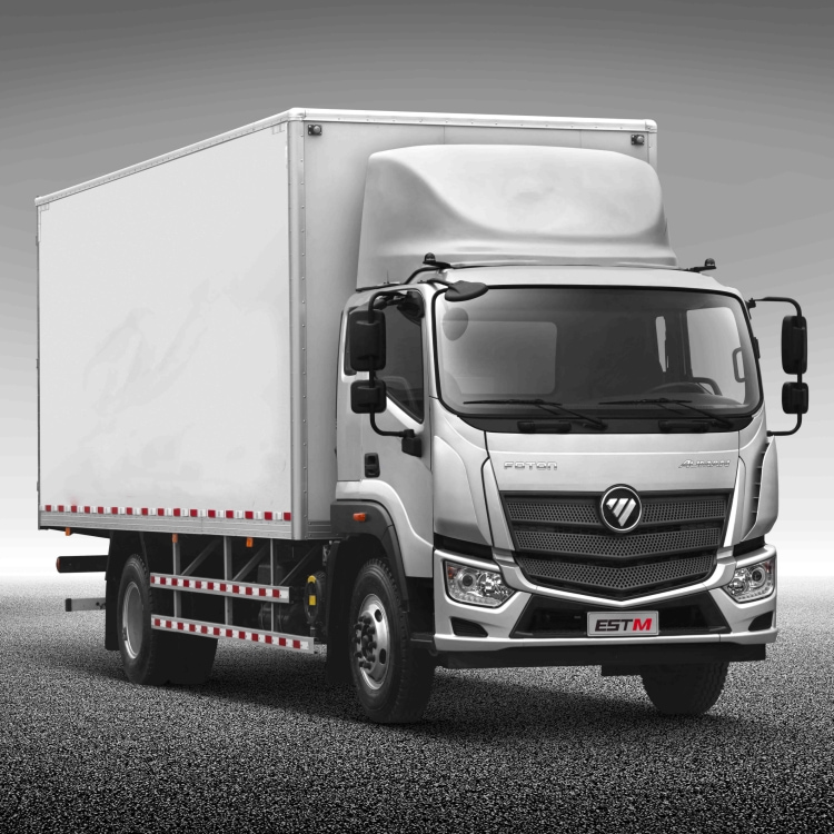 Foton 6 Wheeler EST M Cargo Truck